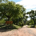 WhatsApp Image 2025-08-31 at 10.48.47 AM