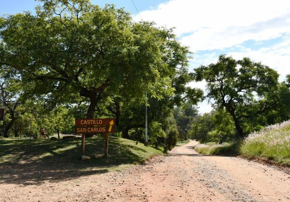 WhatsApp Image 2025-08-31 at 10.48.47 AM