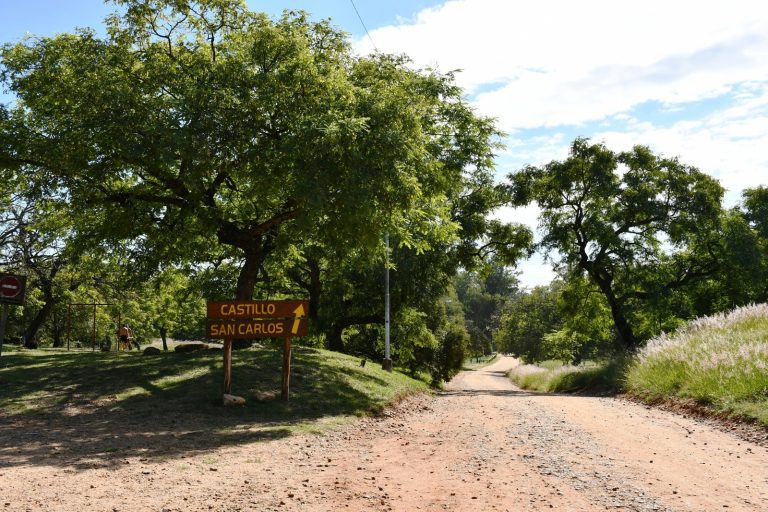 WhatsApp Image 2025-08-31 at 10.48.47 AM